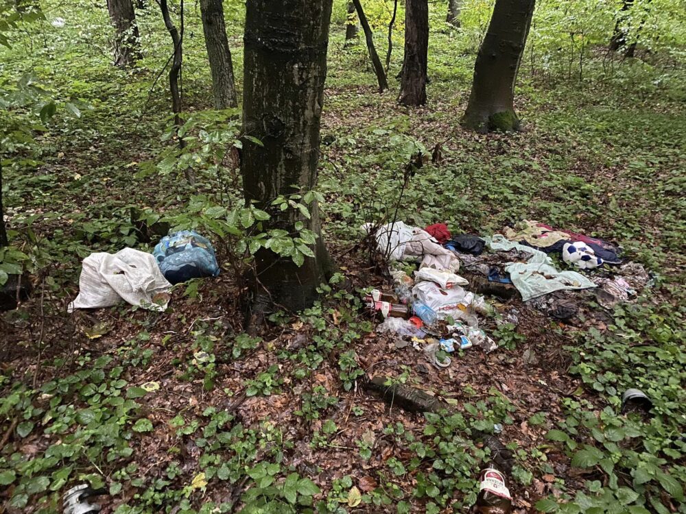 Брюховицький ліс завалили сміттям. Фото