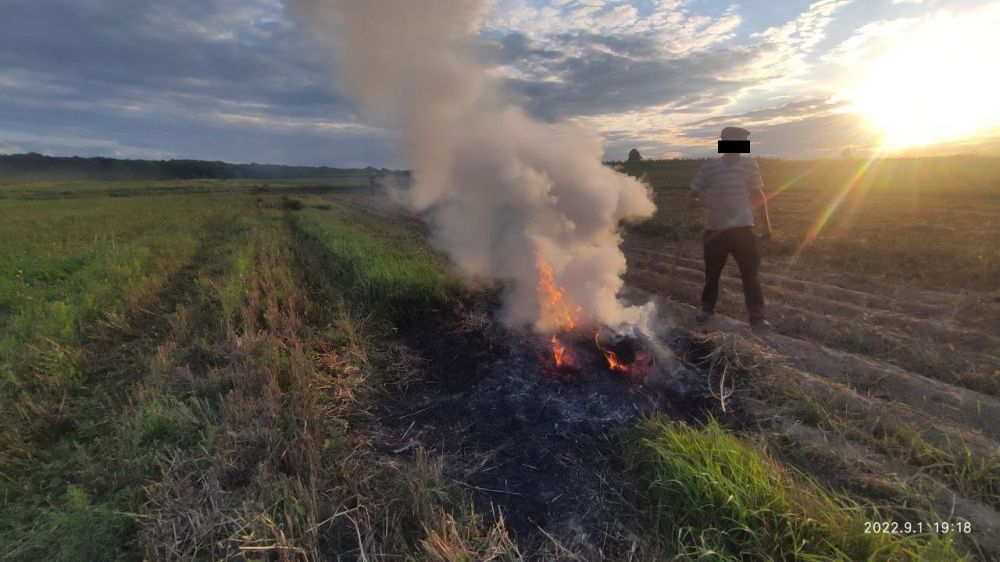 У Тернополі будуть проводити систематичні рейди, щоб виявляти паліїв трави