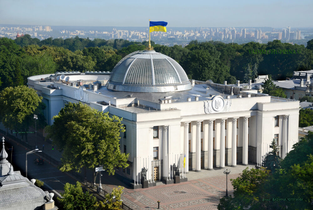 Нардепів Васильковського та Рабіновича достроково позбавили мандатів