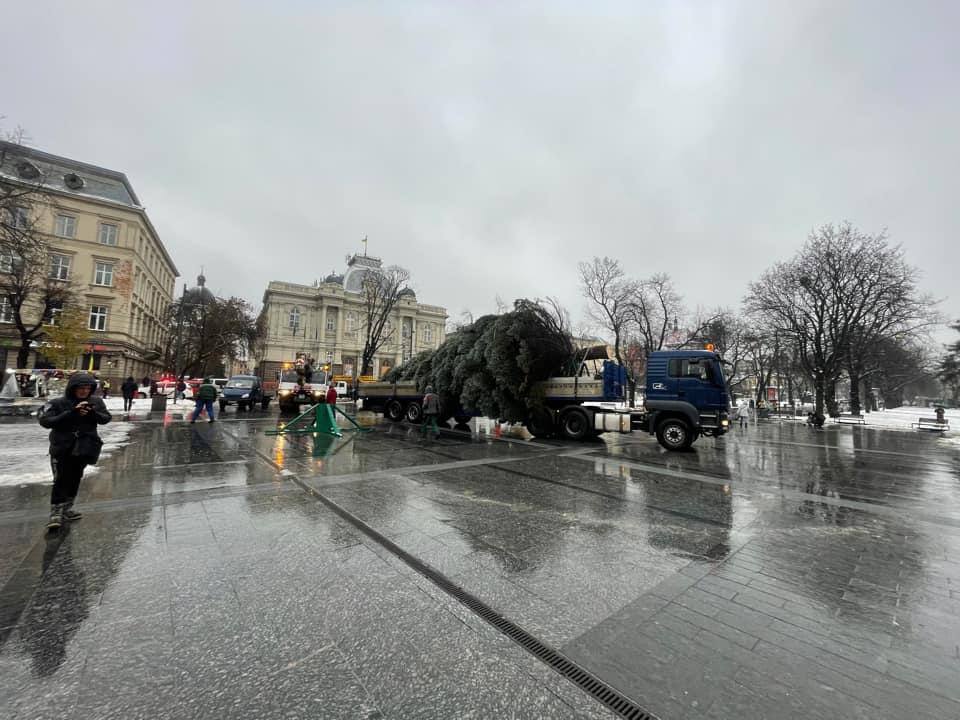 У Львові встановлюють новорічну ялинку