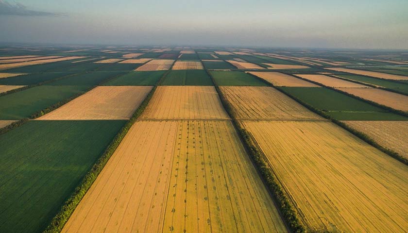 У громадян рф конфіскували 8 земельних ділянок площею понад 6,5 га на Тернопільщині