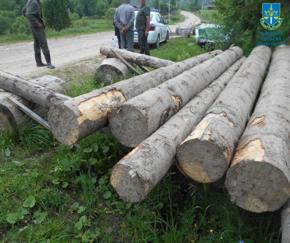 На Львівщині на території заповідника незаконно зрубали дерева