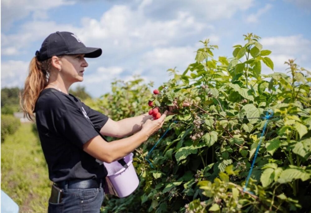 Аграрії Львівщини отримали найбільшу в Україні підтримку з обласного бюджету