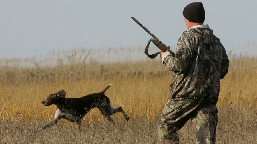 На Львівщині мисливці розпочали відстріл хижаків