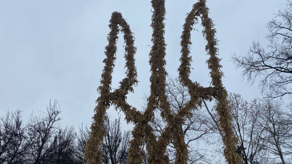 95-річна мешканка Львівщини долучилася до створення найбільшого в Україні тризуба з дідухів