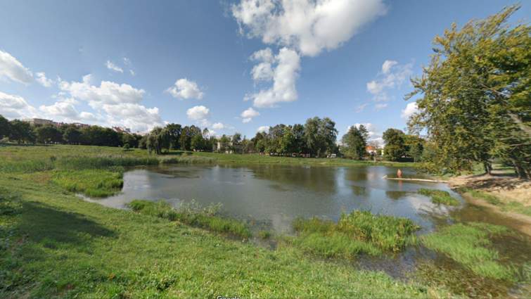 Підрядник міської ради крав гроші на очищенні водойм Львова