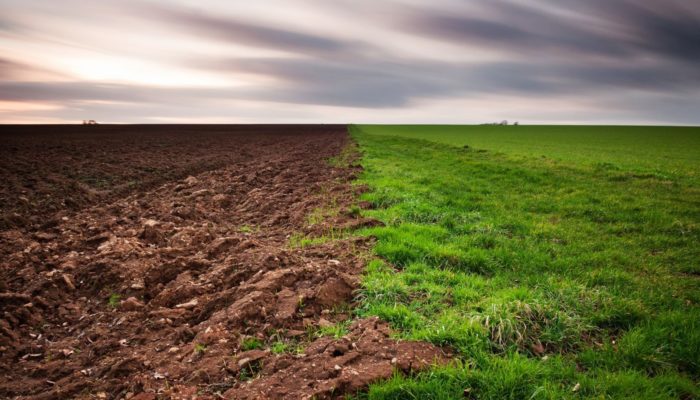 Дві земельних ділянки конфіскували у росіянина на Львівщині