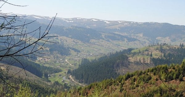 Львівського сміттєвого підприємця зобов’язали повернути земельну ділянку в Карпатах