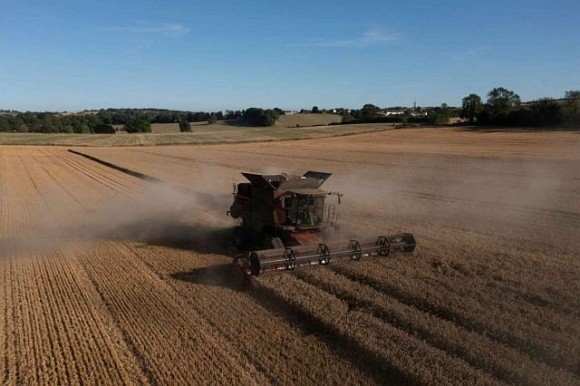 На Львівщині фермер відсудив у міськради 13 га землі