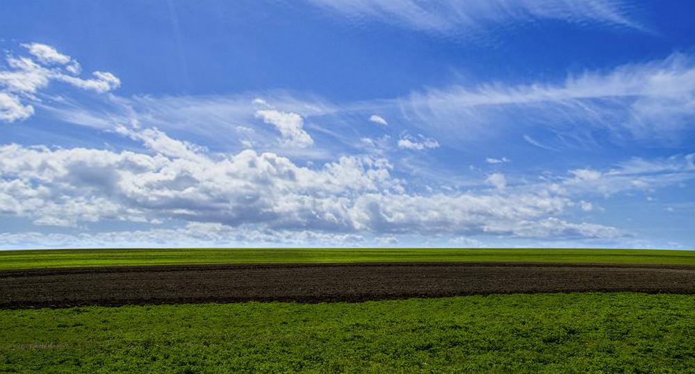 Державі повернули землі на Львівщині вартістю майже 3 млрд грн