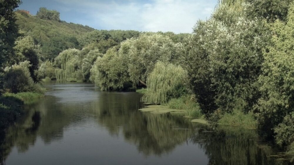 У річці Серет на Тернопільщині виявили тіло жінки