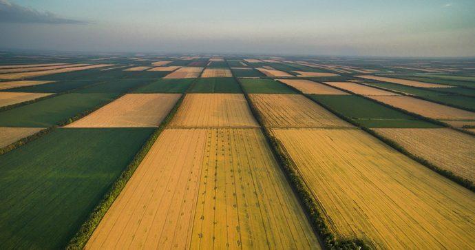 Громаді на Львівщині повернули земельну ділянку вартістю понад 72 млн грн