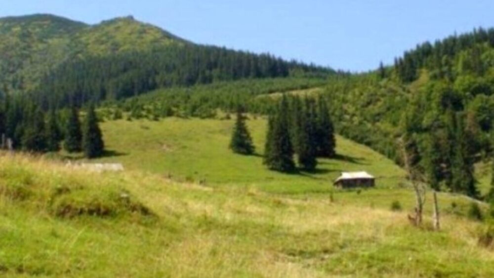 Землю в “Королівських Бескидах” на Львівщині повернули у державну власність