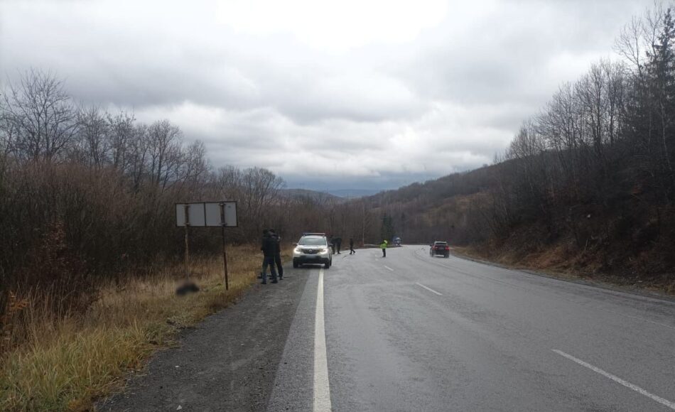 На Львівщині розшукали водія вантажівки, який збив жінку і втік