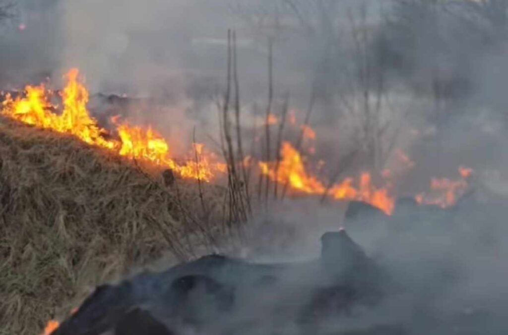 Мешканка Львівщини отримала опіки обличчя через підпал сухої трави