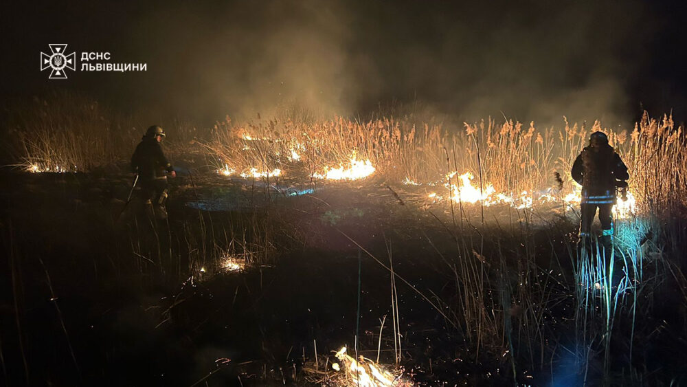 61-річний чоловік отримав опіки під час пожежі сухостою на Львівщині