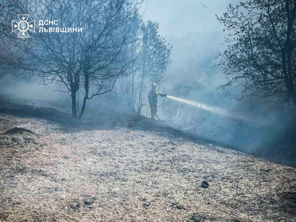 За добу на Львівщині згоріло понад три гектари сухої трави