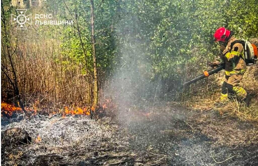 За добу на Львівщині згоріло понад 2000 квадратних метрів сухої трави