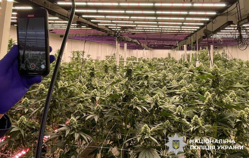 Поліція викрила підпільну нарколабораторію, яка постачала наркотики на Львівщину