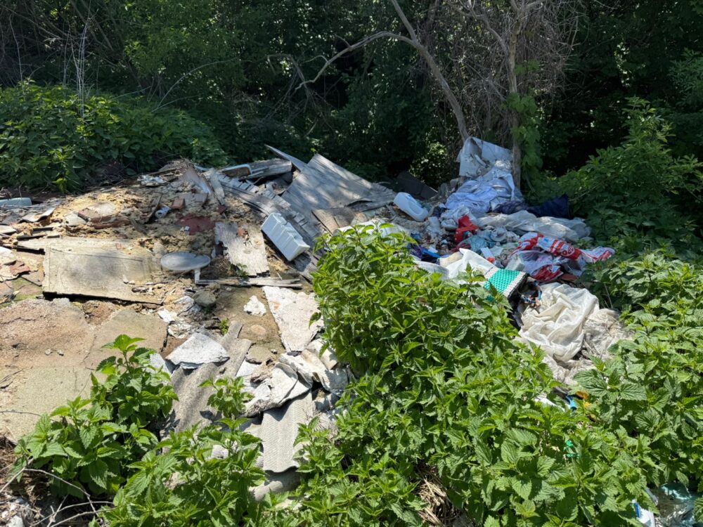 Чотири незаконні сміттєзвалища виявили у громаді на Львівщині