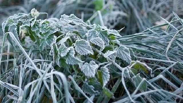 У Львові зафіксували черговий температурний рекорд