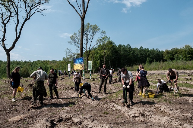 Майже 10 мільйонів дерев висадили лісівники Львівщини, Франківщини та Закарпаття