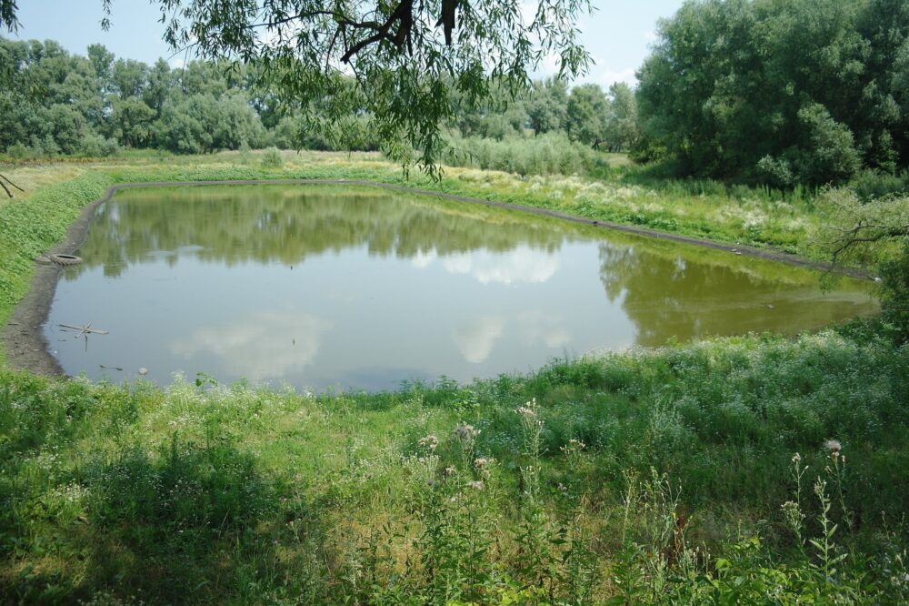 Громаді на Львівщині повернули ділянку зі ставком площею близько 7 га