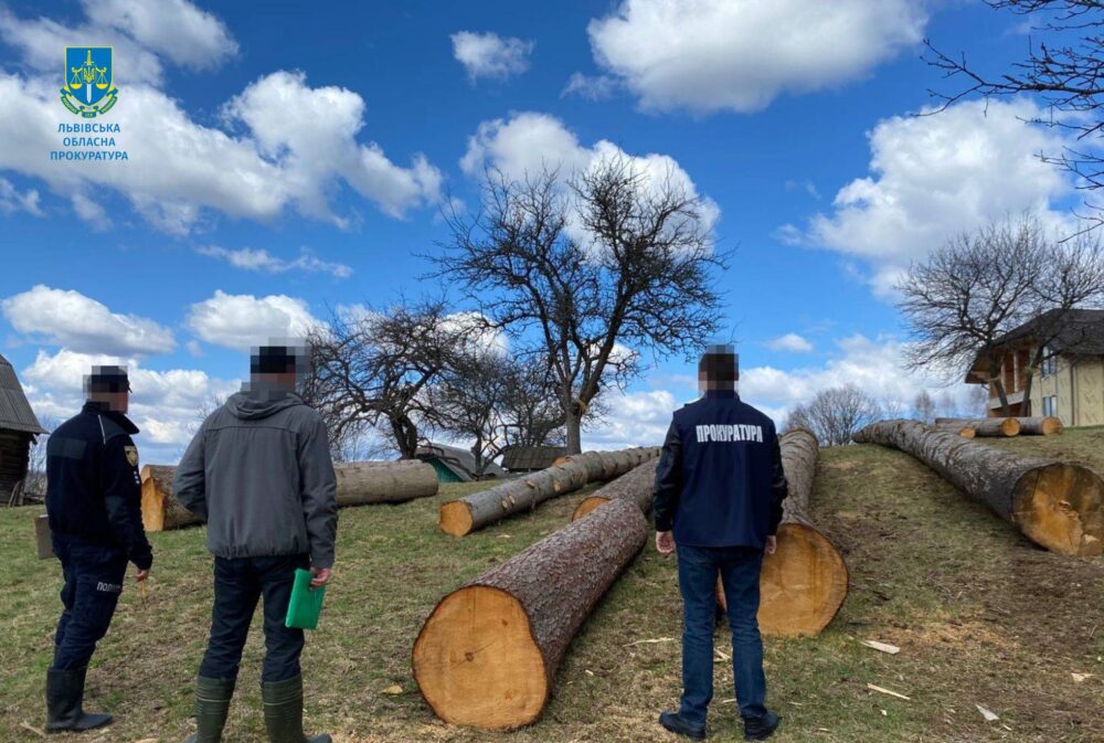 Мешканця Львівщини судитимуть за незаконну вирубку смерек