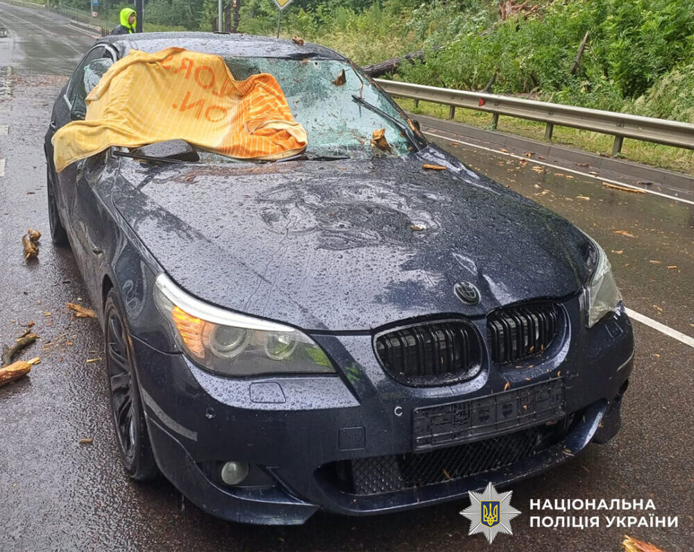 Через падіння дерева на авто постраждала 17-річна львів’янка
