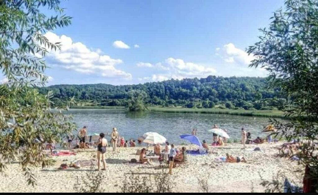 Львівська прокуратура через 8 років не змогла оскаржити приватизацію бази «Альбатрос»