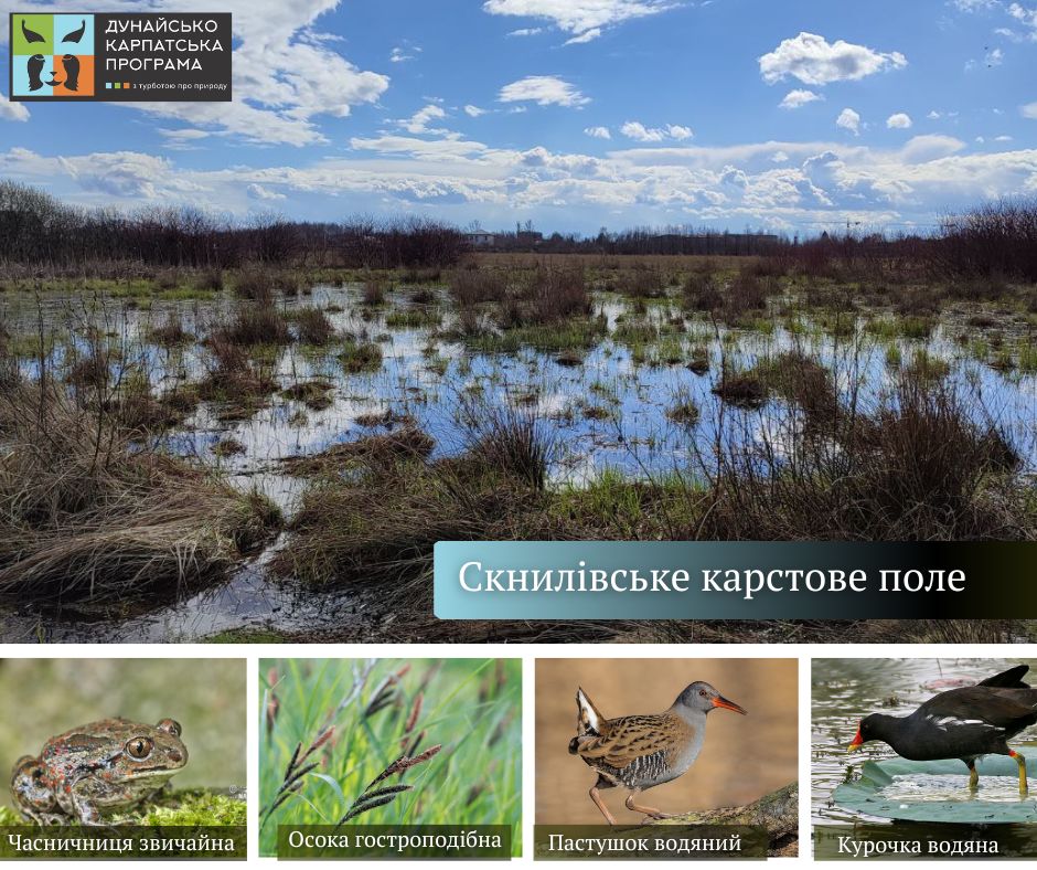 На Львівщині створять новий заказник “Скнилівське карстове поле”