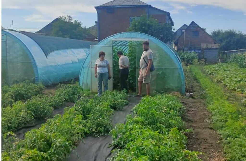 Ветеран з Херсонщини після поранення відкрив тепличне господарство на Львівщині