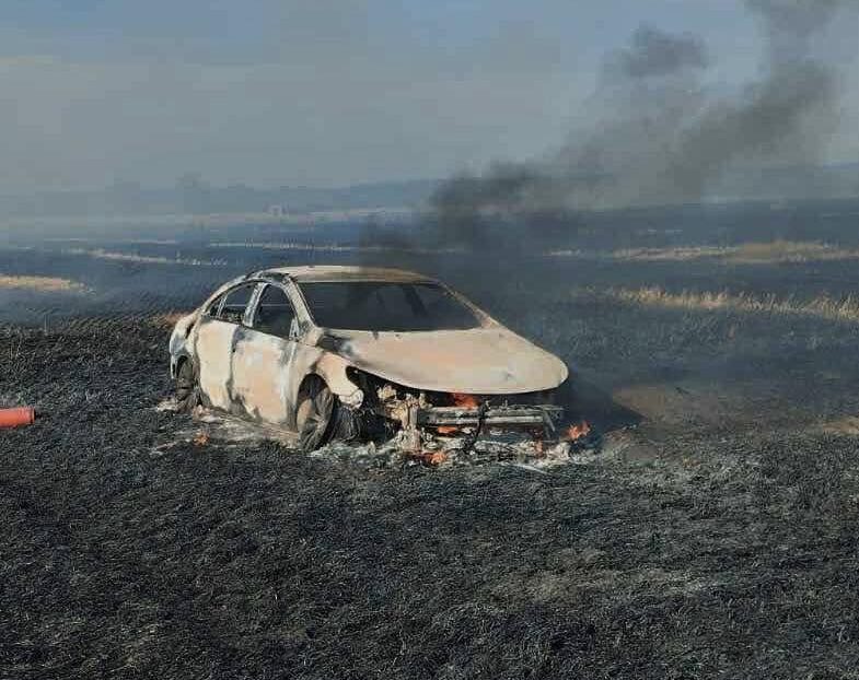 Вогонь знищив 50 тонн пшениці на Львівщині через займання легковика, який їхав по полю