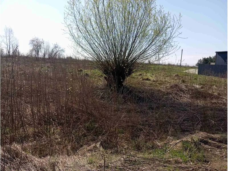 На Львівщині земельну ділянку під промисловість продали за пів мільйона