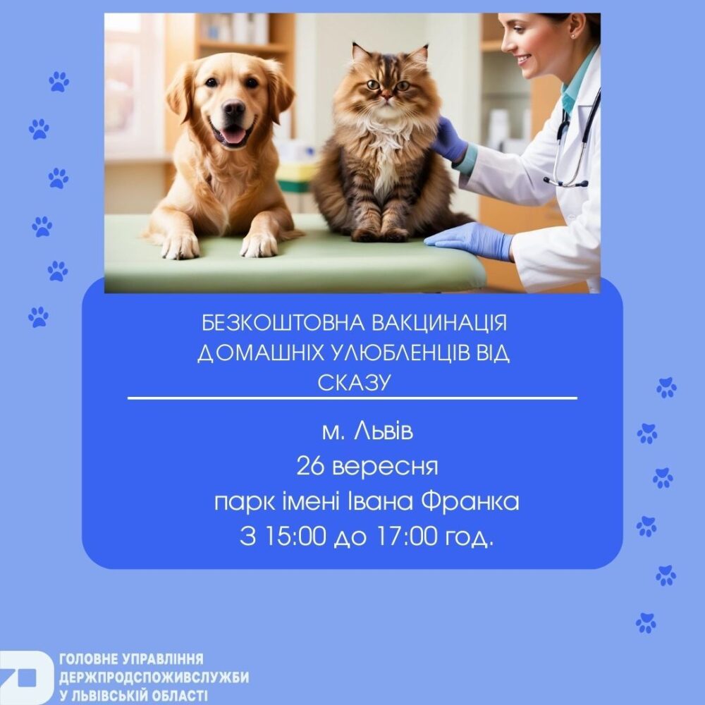 У Львові безкоштовно вакцинуватимуть котів і собак проти сказу