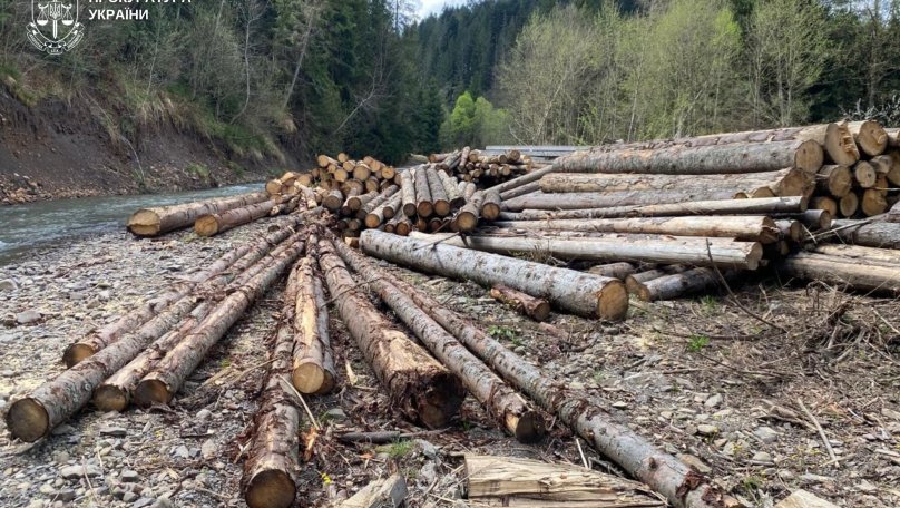 На Львівщині із селищної ради стягнули понад 900 тис. грн збитків за вирубку дерев