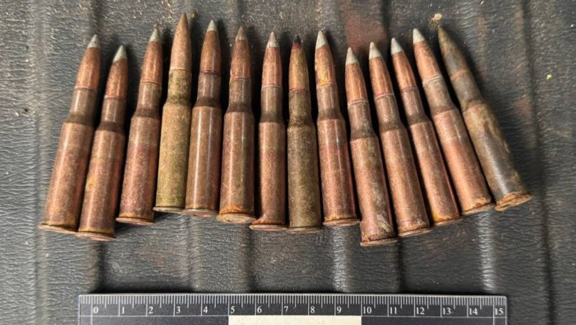 Знайшов патрони в лісі й хотів «відкупитися»: на Львівщині чоловіка оштрафували на 34 тисячі гривень