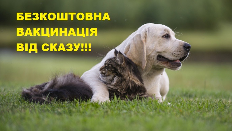 У Львові проведуть безкоштовну вакцинацію домашніх тварин