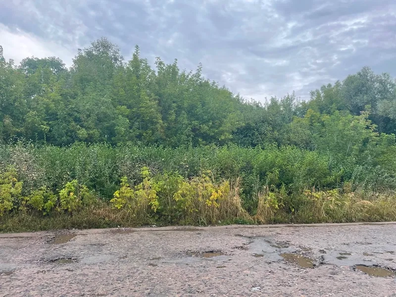 У Бродах продали ділянку під громадську забудову за 1,8 млн грн