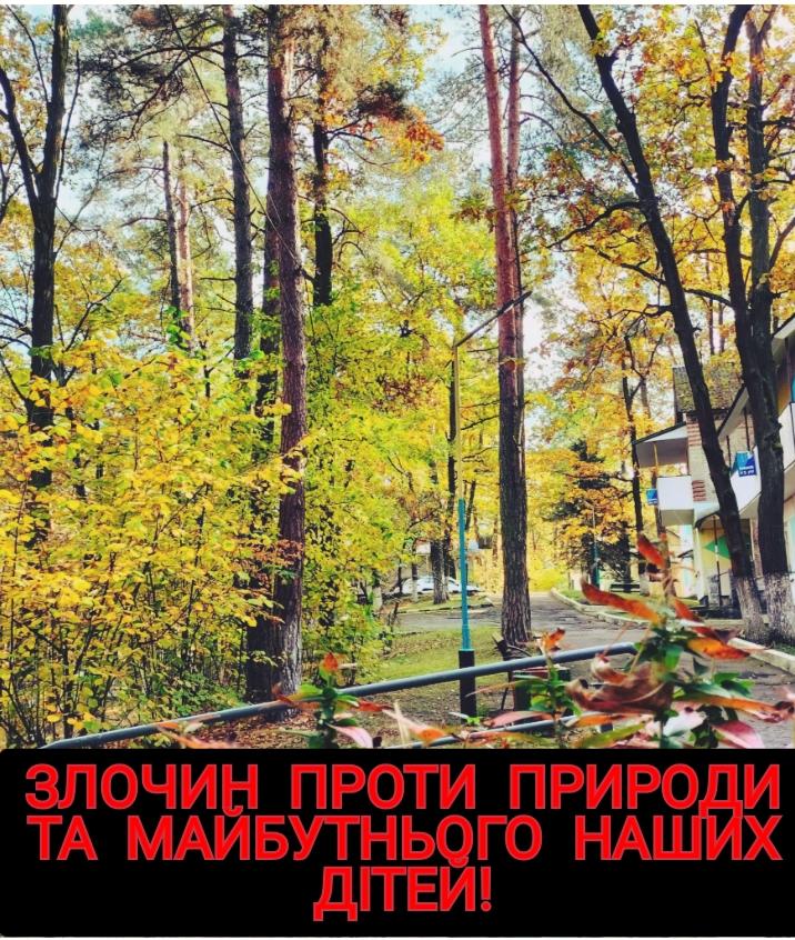 Злочин проти природи та майбутнього дітей: на території дитячого табору “Ровесник” на Львівщині незаконно вирубують дерева (фото, відео)