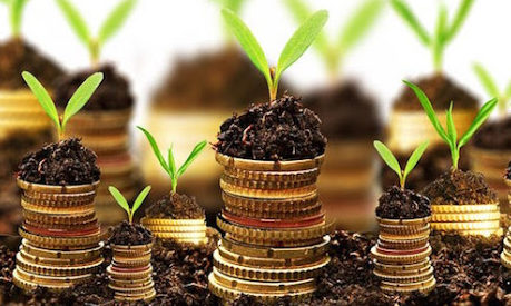 Від початку цього року до бази Державного земельного кадастру внесено відомості про нормативну грошову оцінку земель 297 населених пунктів Львівщини