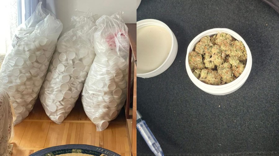 “Сімейний бізнес”: на Львівщині викрили матір і сина, які вирощували коноплі для продажу