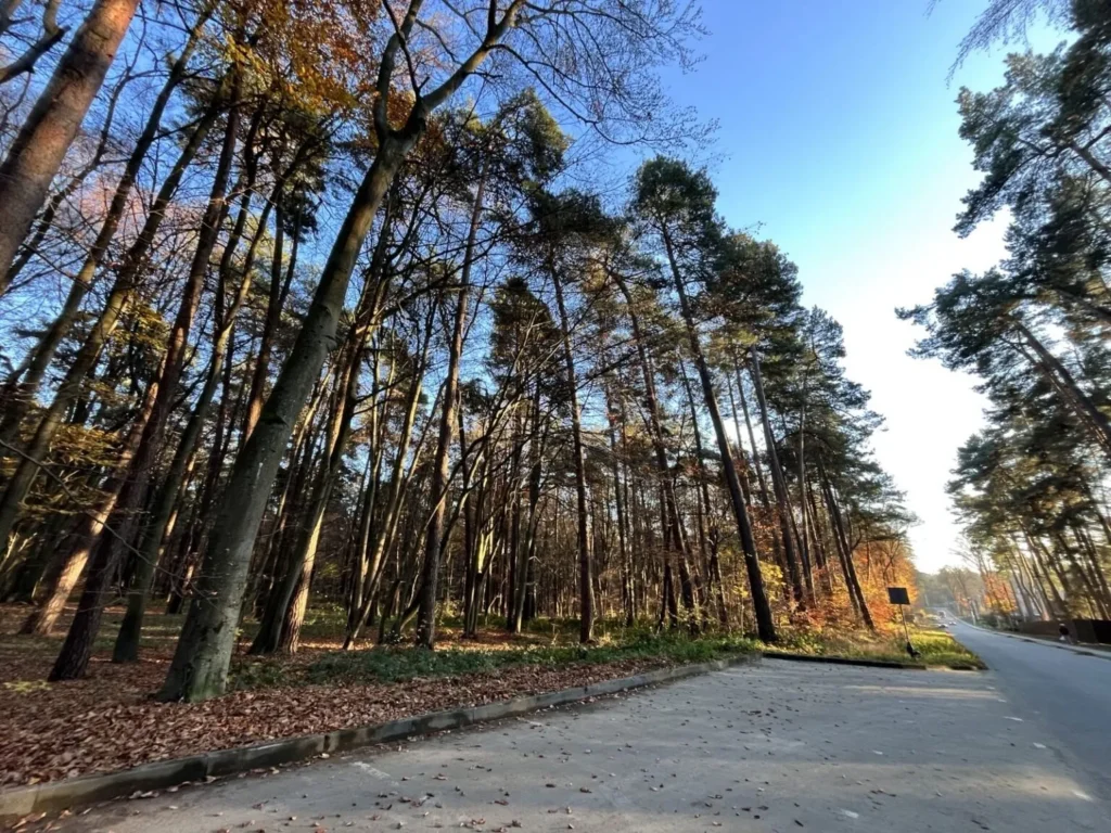 У Брюховичах планують звести котеджне містечко в лісі: проєкт пов’язаний з групою «Інтергал-буд»
