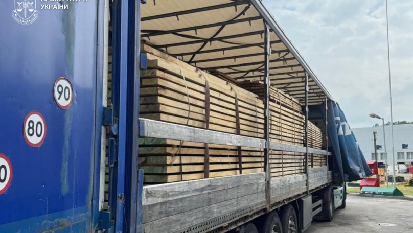 Підприємець зі Львівщини хотів вивезти до Польщі контрабандний дуб