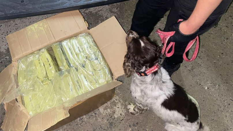 На Львівщині двох чоловіків підозрюють у міжнародній контрабанді понад 600 кг наркотичного чаю