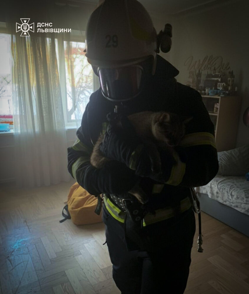 У Львові під час пожежі в багатоповерхівці надзвичайники врятували котика