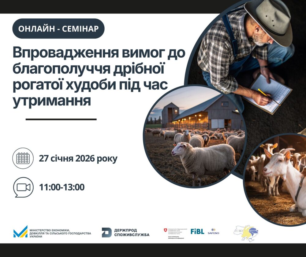 Держпродспоживслужба Львівщини запрошує на онлайн-семінар “Діючі вимоги законодавства щодо благополуччя дрібної рогатої худоби”