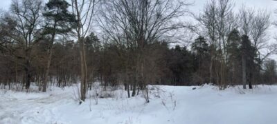 “Це екологічна диверсія”: мешканці Брюховичів виступили проти забудови понад 14 га лісу на Лікарській (фото, відео)