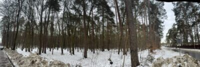 “Це екологічна диверсія”: мешканці Брюховичів виступили проти забудови понад 14 га лісу на Лікарській (фото, відео)