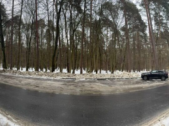 Львівська міськрада не дозволить вирубку лісу на Лікарській у Брюховичах